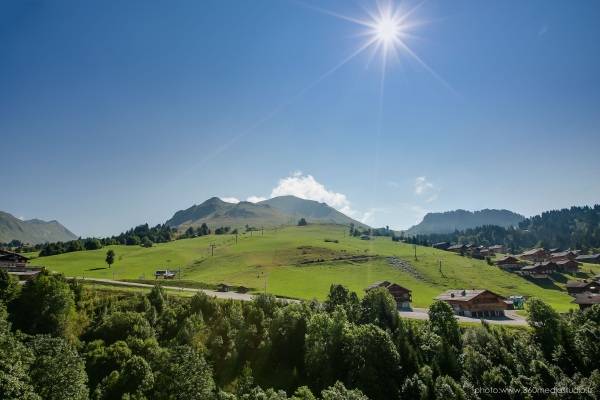 androsace 306 à Le Grand Bornand