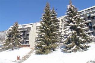 Appartement de la forêt à Flaine