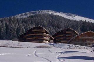 Appartements l'Alpage. à Châtel