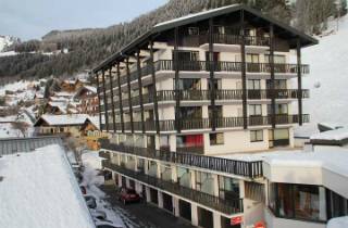 Appartements Les Rhododendrons à Châtel