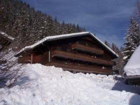 Appartements les Voinettes à Châtel