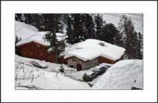 Plagne - Belle Plagne - Appartements Le Pas du Bouquetin