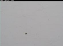 Webcam Départ du ski nordique  le 03-02-2016 à 13:00