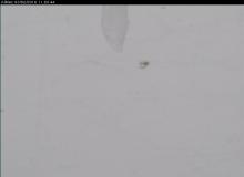 Webcam Le Glacier de l'Etendard  le 03-02-2016 à 13:00