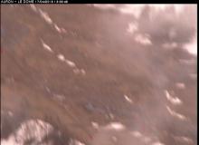 Webcam Auron Snowpark
