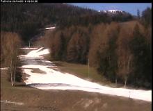 Webcam Montchavin les Coches Ski en forêt