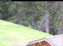 Webcam Thollon les Memises Jardin d'enfant